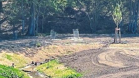 Der Scheiblbach ist landschaftlich reizvoll gelegen am Radweg von Weigendorf nach Loiching. Der Scheiblbach ist landschaftlich reizvoll gelegen am Radweg von Weigendorf nach Loiching.