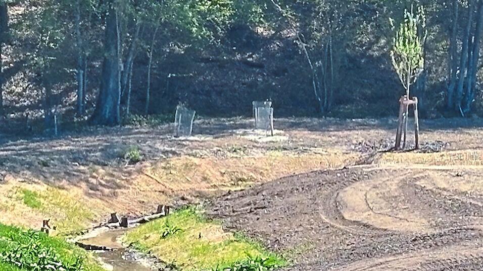 Der Scheiblbach ist landschaftlich reizvoll gelegen am Radweg von Weigendorf nach Loiching.