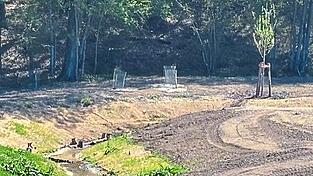 Der Scheiblbach ist landschaftlich reizvoll gelegen am Radweg von Weigendorf nach Loiching.