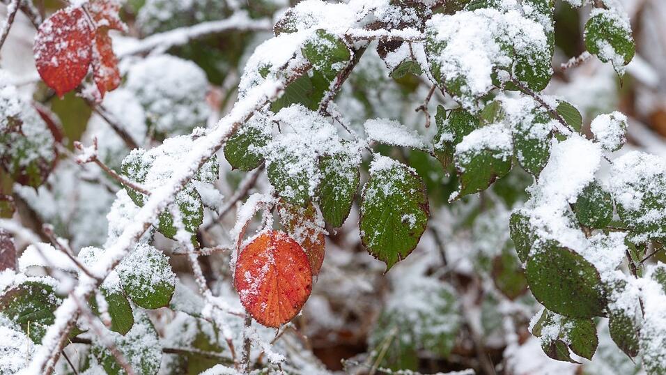 DWD: In den Alpen und im südlichen Vorland sind leichte Schneefälle möglich. DWD: In den Alpen und im südlichen Vorland sind leichte Schneefälle möglich.