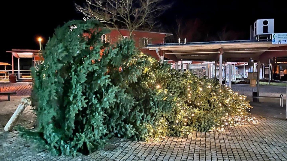 Der Christbaum in Bogen konnte dem Sturm nicht Stand halten. 