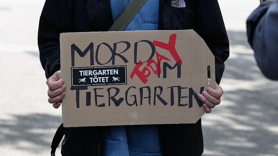 Aktivistinnen und Aktivisten versammelten sich am 29. Juli 2025 vor dem geschlossenen Tiergarten, um gegen die T&ouml;tung der Paviane zu demonstrieren. Einige drangen sp&auml;ter in den Zoo ein. (Archivbild)