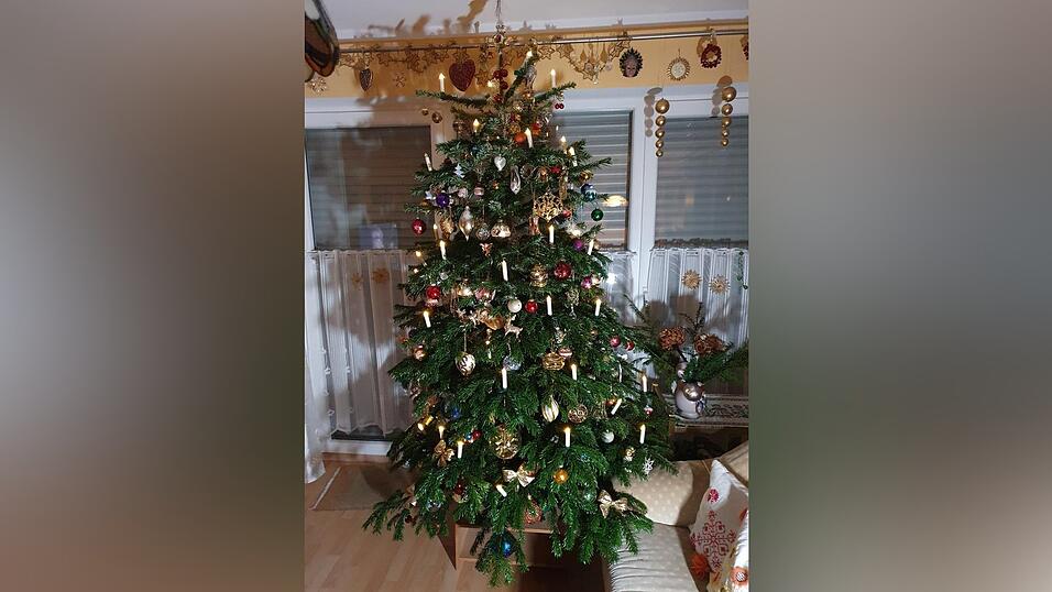 Dieser Baum steht bei den Vetters.