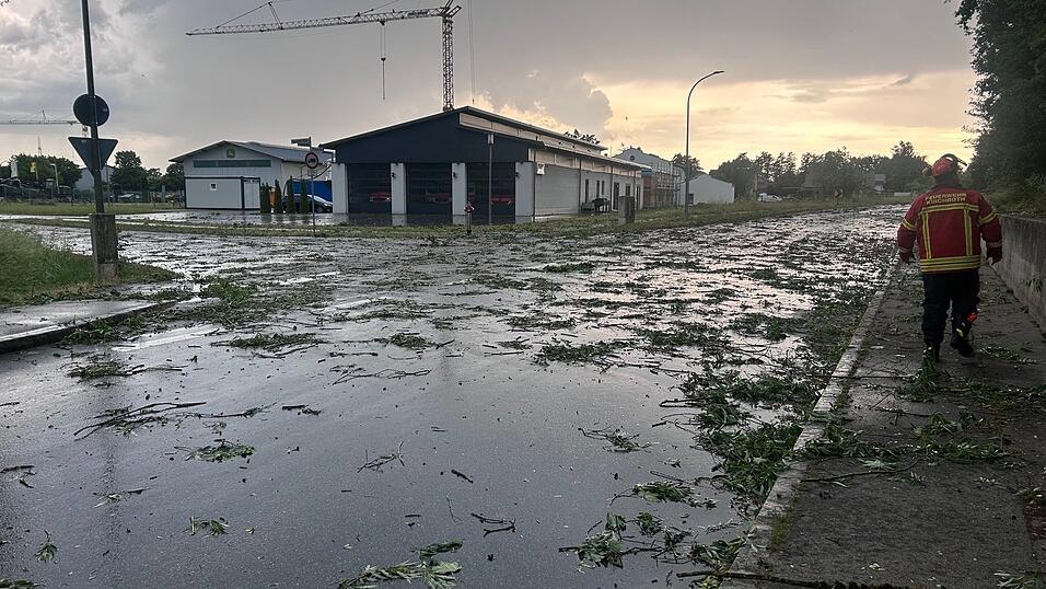 Der heftige Wind riss das Laub von den B&auml;umen.