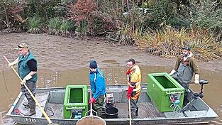 25 Mitglieder des Bezirksfischereivereins brauchten drei Tage, um aus dem Eisweiher Fische mit einem Gesamtgewicht von rund eineinhalb Tonnen in Sicherheit zu bringen. Alle Fische haben am Kloweiher bei Friedenhain ein neues Zuhause gefunden.