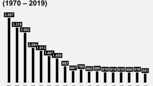 Bei Verkehrsunf&auml;llen get&ouml;tete Menschen seit 1970.