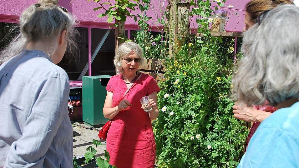 Besonders stolz ist Birgit Schattling auf die Klimaterrasse.