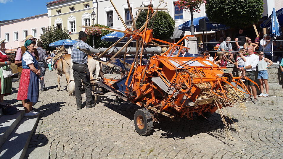 Das war der 35. Bad K&ouml;tztinger Rosstag: Bilder vom Festumzug.