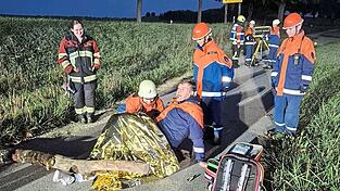 Einsatzszenario Baum über Straße mit Befreiung einer Person unter einem schweren Ast. Einsatzszenario Baum über Straße mit Befreiung einer Person unter einem schweren Ast.