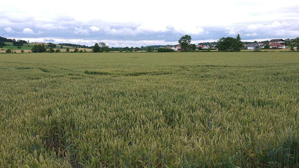 Die schöne niederbayerische Landschaft. Die schöne niederbayerische Landschaft.