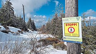 Zwischen 1. April und 14. Juli ist der Habergrasberg am Dreisessel zum Schutz des Auerhuhns gesperrt.