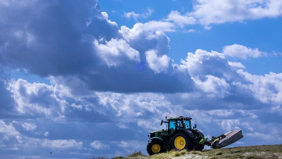 Es lohnt sich oft nicht: Die Produktionskosten f&uuml;r Agrarprodukte liegen teils &uuml;ber den Verkaufspreisen. (Archivbild)
