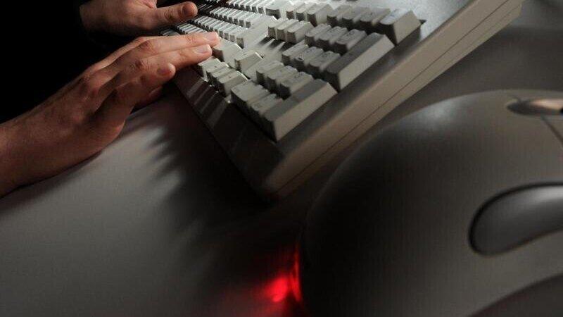 Die Online-Betrüger erbeuteten viel Geld. (Symbolbild) Die Online-Betrüger erbeuteten viel Geld. (Symbolbild)