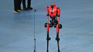 Roboter «Blitz» hatte bereits im Vorfeld den 100-Meter-Rekord von Usain Bolt unterboten. Roboter «Blitz» hatte bereits im Vorfeld den 100-Meter-Rekord von Usain Bolt unterboten.