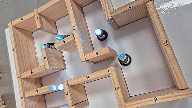 Die Profis helfen (im Bedarfsfall) bei der L&ouml;sung des &bdquo;Gef&auml;ngnisw&auml;rter-Problems&ldquo;.