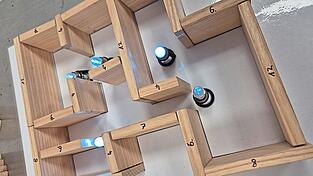 Die Profis helfen (im Bedarfsfall) bei der L&ouml;sung des &bdquo;Gef&auml;ngnisw&auml;rter-Problems&ldquo;.