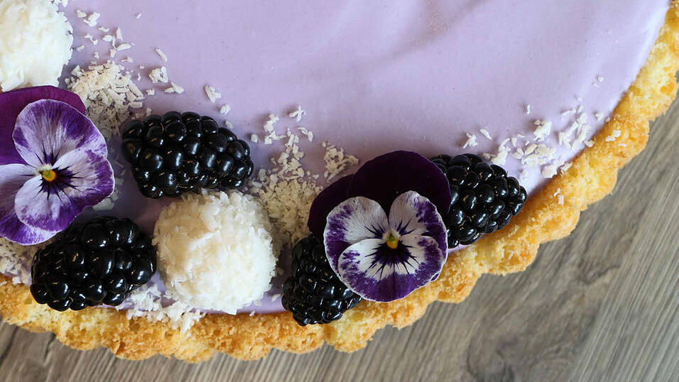 Eine Verführung in lila: Der Kokos-Waldfrucht-Cheesecake von Bettina Zeiler. Eine Verführung in lila: Der Kokos-Waldfrucht-Cheesecake von Bettina Zeiler.