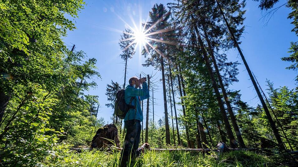 Niederbayerns Zentrum ist neben Landshut der Bayerische Wald. Dort zieht es die Bewohner regelmäßig hin. Nirgendwo im Freistaat sind die Menschen glücklicher mit der Natur vor der Haustür als hier. Niederbayerns Zentrum ist neben Landshut der Bayerische Wald. Dort zieht es die Bewohner regelmäßig hin. Nirgendwo im Freistaat sind die Menschen glücklicher mit der Natur vor der Haustür als hier.