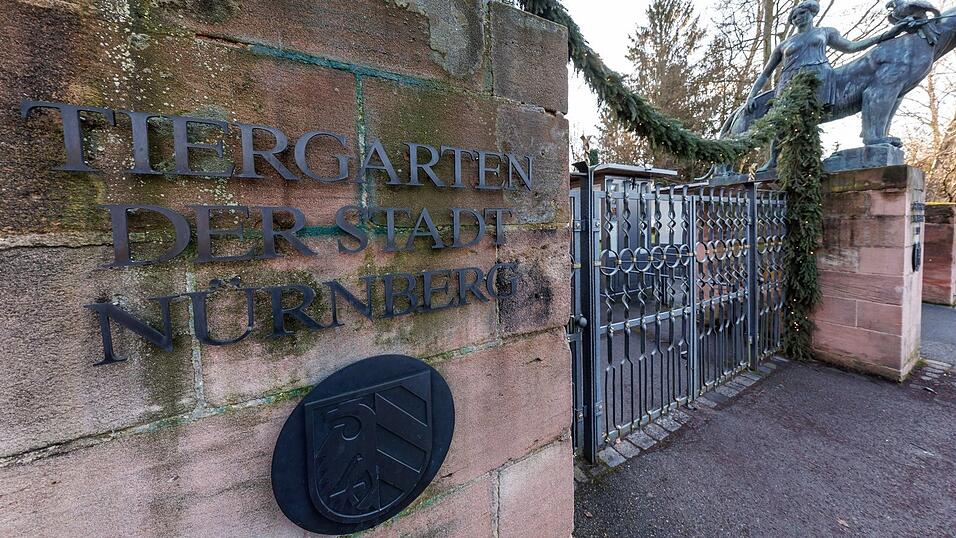 Die betroffenen Weißstörche lebten bis 10. Januar in den Tiergarten selbst, dann kamen sie in eine Außenstelle. Die betroffenen Weißstörche lebten bis 10. Januar in den Tiergarten selbst, dann kamen sie in eine Außenstelle.