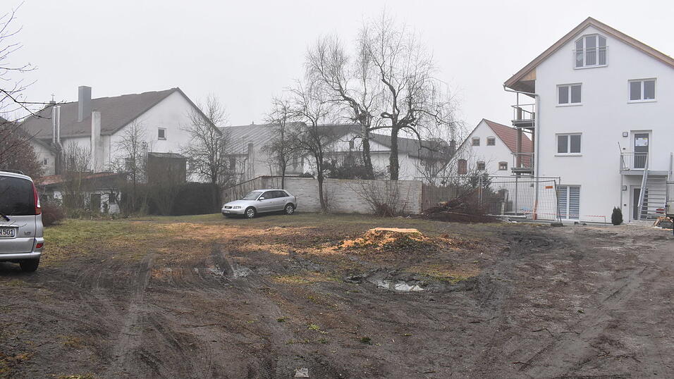 Anlass für den Antrag der Grünen war die Fällaktion einer gesunden alten Linde nahe dem Kirchplatz - hier nach erfolgtem Absägen des Baumes. Anlass für den Antrag der Grünen war die Fällaktion einer gesunden alten Linde nahe dem Kirchplatz - hier nach erfolgtem Absägen des Baumes.