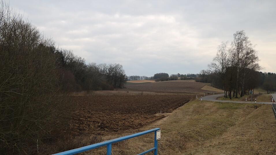 Auf dieser Fläche beim Schierlinger Freizeitgelände entsteht ein Erinnerungswald für Sternenkinder. Die ersten Bäume sollen im Herbst gepflanzt werden.