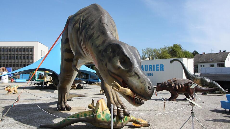 Die bis zu 20 Meter langen Modelle ragen bis zu sechs Meter in die Höhe. Die bis zu 20 Meter langen Modelle ragen bis zu sechs Meter in die Höhe.