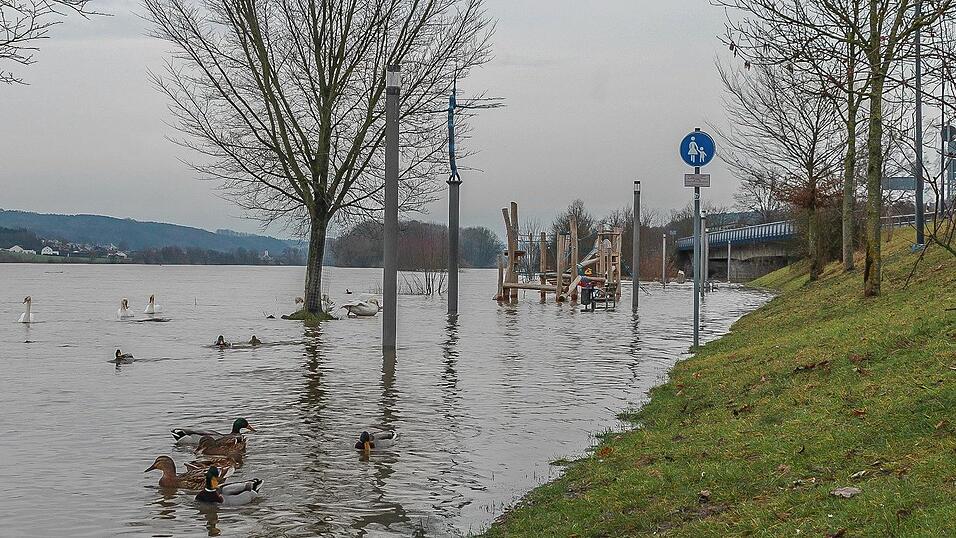 Auch in Vilshofen stieg die Donau &uuml;ber die Ufer.