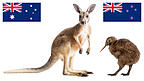 Die bekanntesten tierischen Vertreter ihres Landes: das Känguru aus Australien und der Kiwi aus Neuseeland. Die bekanntesten tierischen Vertreter ihres Landes: das Känguru aus Australien und der Kiwi aus Neuseeland.