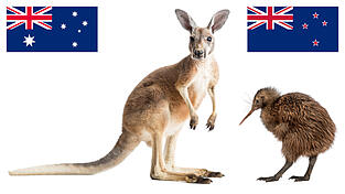 Die bekanntesten tierischen Vertreter ihres Landes: das Känguru aus Australien und der Kiwi aus Neuseeland.