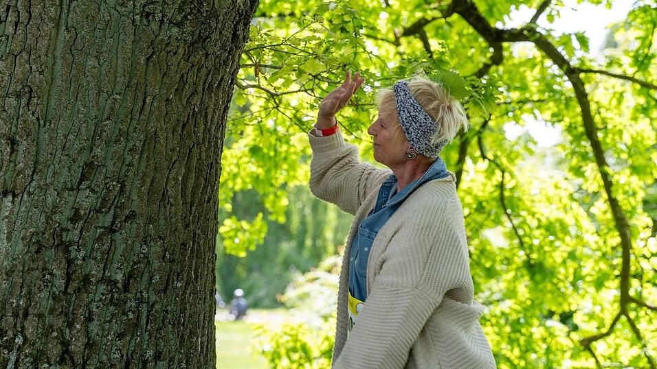 Kreativit&auml;t und Innigkeit sind gefragte Aspekte beim Baum-Umarmen.