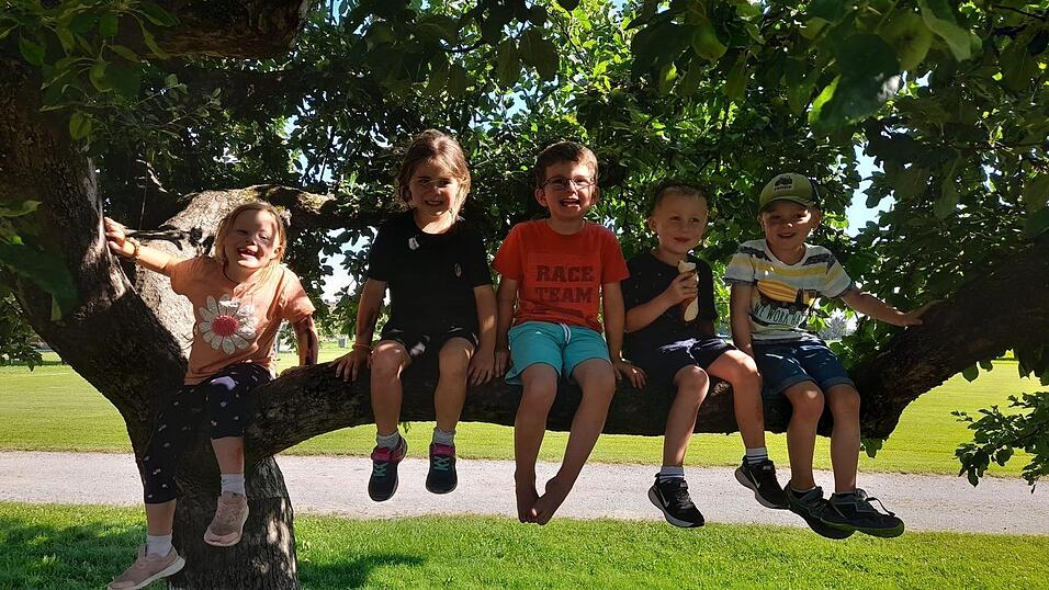 B&auml;ume sind zum Klettern da! Die OGV-Kindergruppe lernt auf spielerische Weise, die Natur wertzusch&auml;tzen.