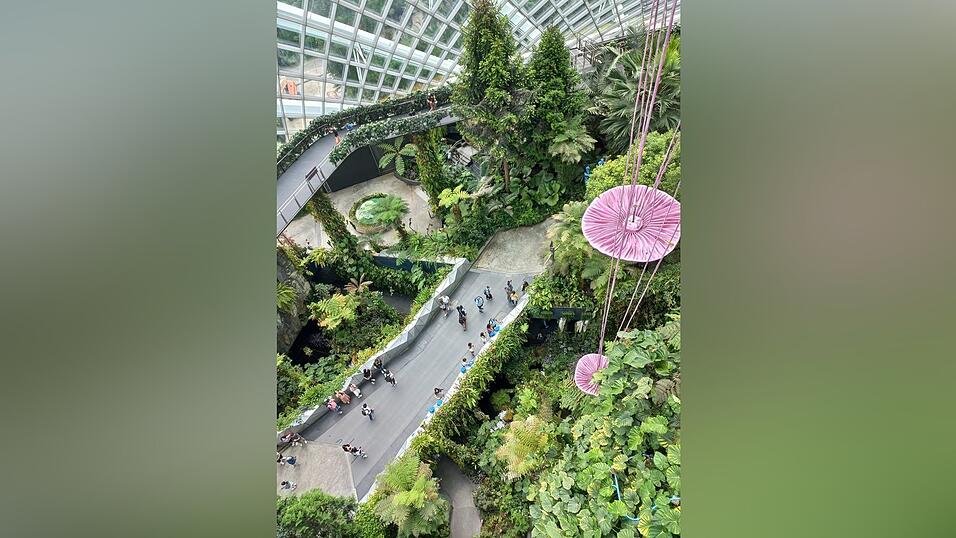 Bilder aus dem vorweihnachtlichen Singapur.