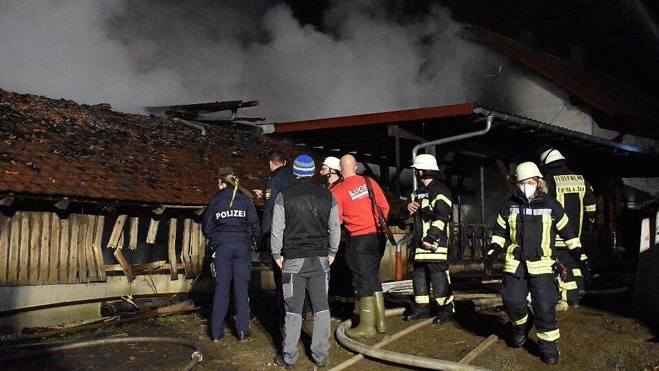 Bei einem Brand auf einem Bauernhof im Landkreis Deggendorf kamen mehrere Rinder ums Leben.