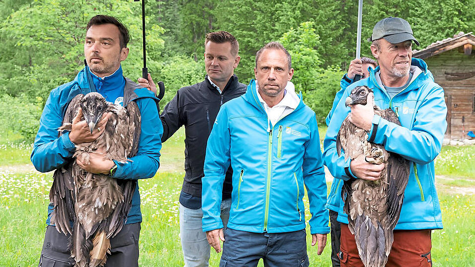 'Recka' (l.) und 'Dagmar' werden von Mitarbeitern des Nationalparks und Umweltminister Glauber (Mitte) präsentiert. 'Recka' (l.) und 'Dagmar' werden von Mitarbeitern des Nationalparks und Umweltminister Glauber (Mitte) präsentiert.
