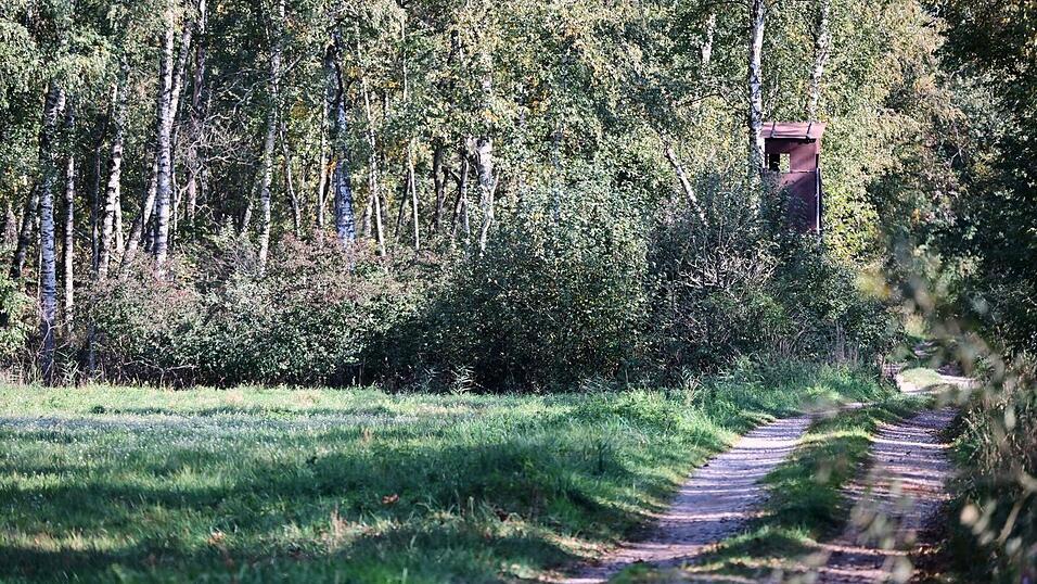 Die mutmaßliche Raubkatze wurde laut Landratsamt im Notzingermoos in der Nähe des Münchner Flughafens gesehen. Die mutmaßliche Raubkatze wurde laut Landratsamt im Notzingermoos in der Nähe des Münchner Flughafens gesehen.