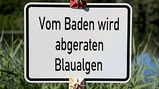 Bei einer Untersuchung im Baggersee Breitengüßbach wurden vereinzelt Blaualgen nachgewiesen. Bei einer Untersuchung im Baggersee Breitengüßbach wurden vereinzelt Blaualgen nachgewiesen.