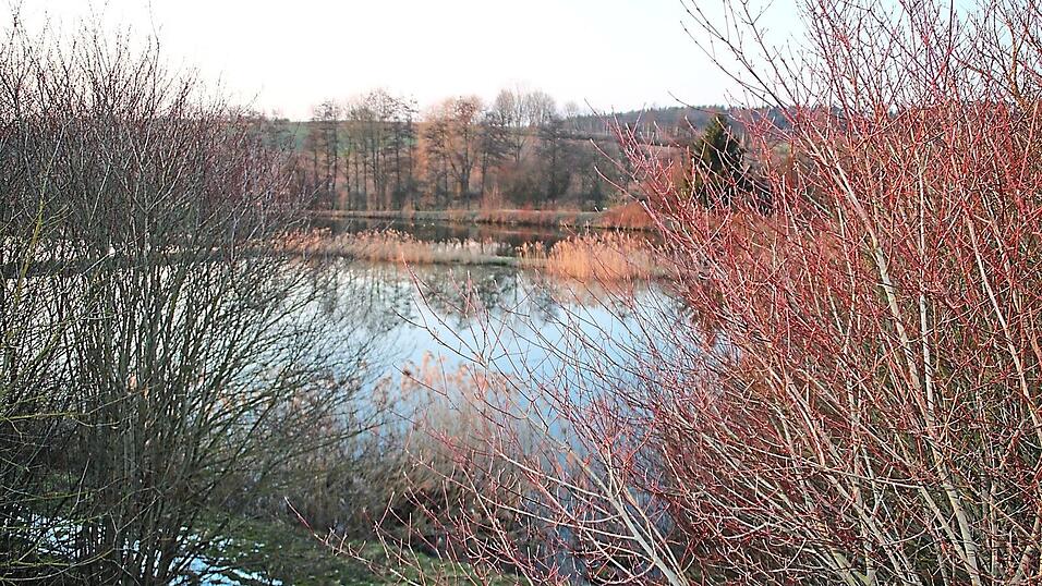 Romantisch liegt sie da, die Teichkläranlage - im Sommer wie auch wie auf dieser Aufnahme im Winter. Die Bürgerinitiative will sie erhalten. Romantisch liegt sie da, die Teichkläranlage - im Sommer wie auch wie auf dieser Aufnahme im Winter. Die Bürgerinitiative will sie erhalten.