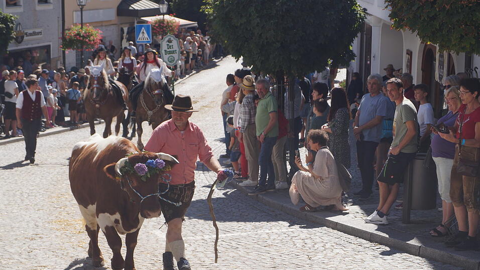 Das war der 35. Bad K&ouml;tztinger Rosstag: Bilder vom Festumzug.