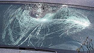 Einer der beiden angeklagten Brüder fuhr am 18. Mai vergangenen Jahres gegen 13.30 Uhr in der Pilstinger Andreas-Glas-Straße mit einem VW Golf auf den eigenen Schwager zu. Einer der beiden angeklagten Brüder fuhr am 18. Mai vergangenen Jahres gegen 13.30 Uhr in der Pilstinger Andreas-Glas-Straße mit einem VW Golf auf den eigenen Schwager zu.