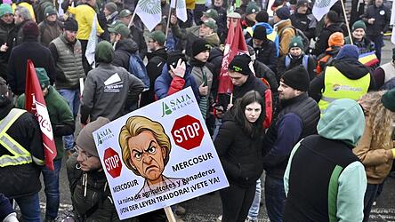 Bauern protestierten vor dem Geb&auml;ude des Europ&auml;ischen Parlaments gegen das Mercosur-Abkommen.