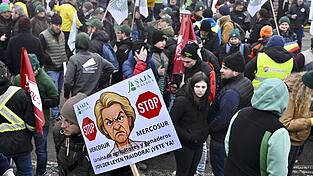 Bauern protestierten vor dem Geb&auml;ude des Europ&auml;ischen Parlaments gegen das Mercosur-Abkommen.