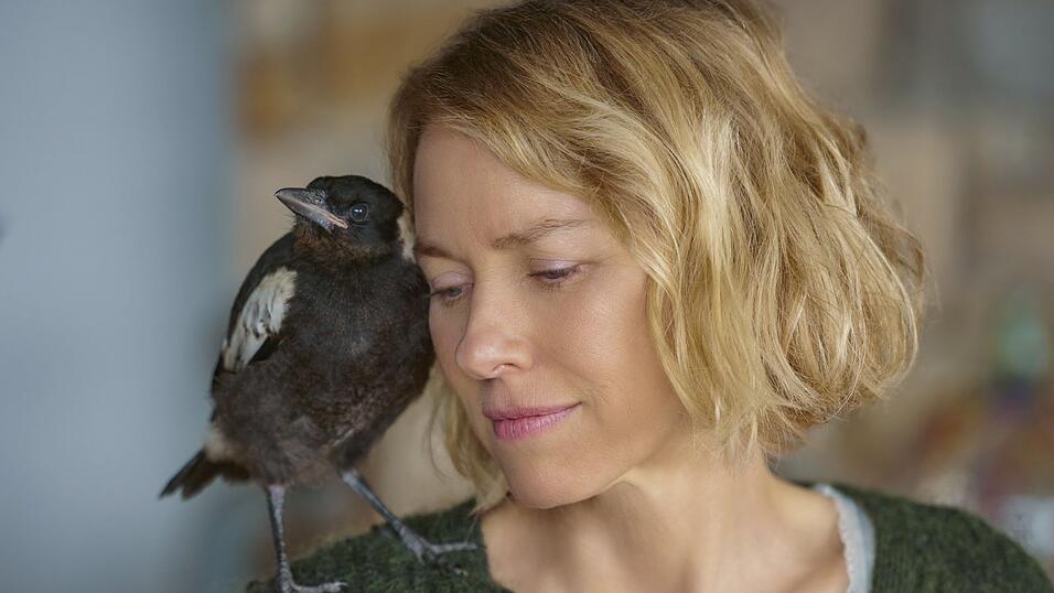Penguin gibt Sam Bloom (Naomi Watts) wieder neuen Lebensmut. Penguin gibt Sam Bloom (Naomi Watts) wieder neuen Lebensmut.