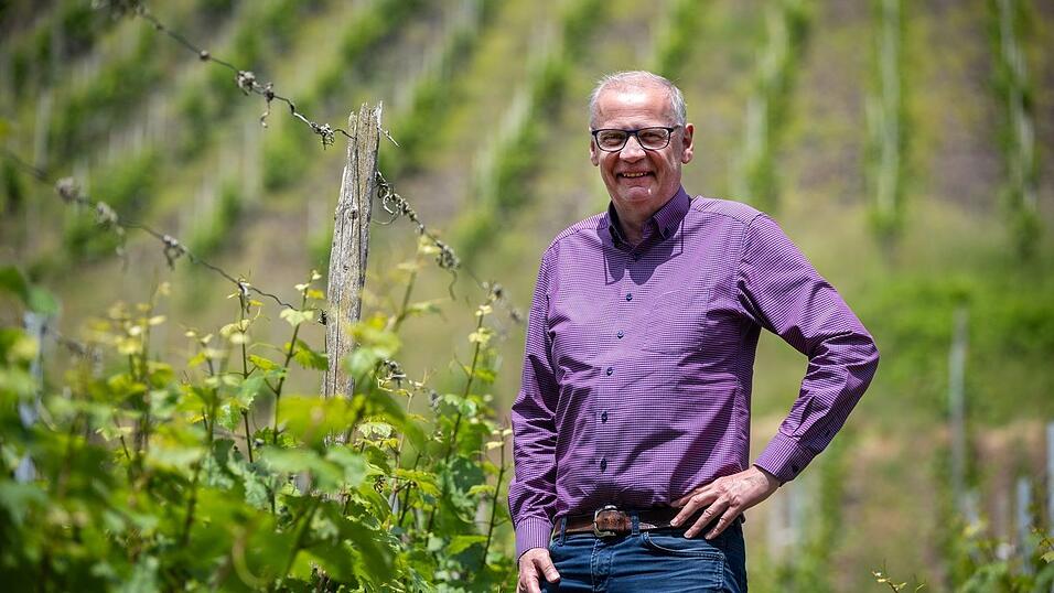 Zwischen den Riesling-Reben: Abseits des Fernsehstudios ist Günther Jauch gerne auf seinem Weingut an der Saar. (Archivbild) Zwischen den Riesling-Reben: Abseits des Fernsehstudios ist Günther Jauch gerne auf seinem Weingut an der Saar. (Archivbild)