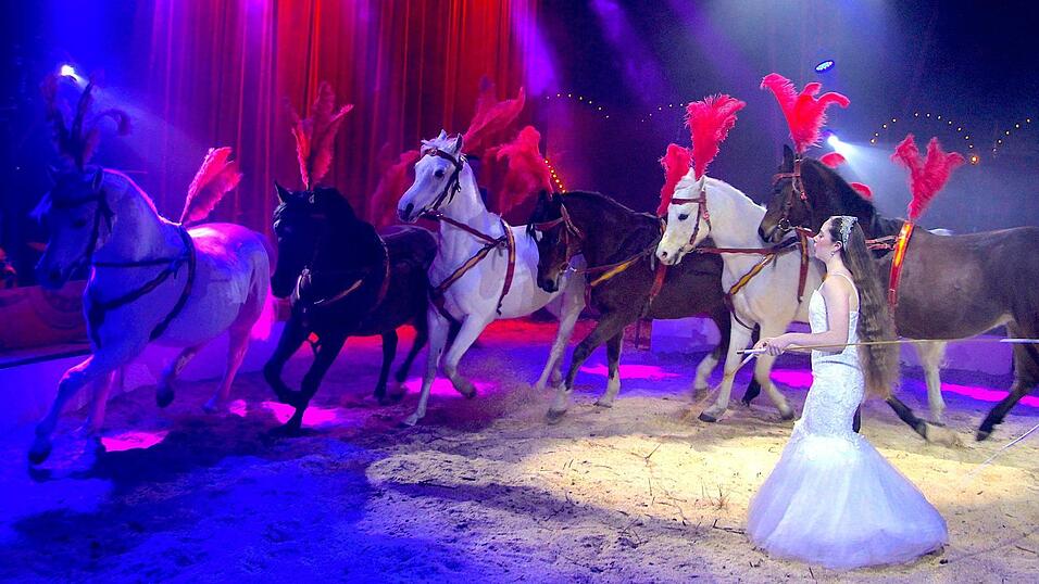 Die zw&ouml;lfj&auml;hrige Dylain pr&auml;sentiert im Weihnachtscircus erstmals die gro&szlig;e Pferdenummer.