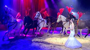 Die zw&ouml;lfj&auml;hrige Dylain pr&auml;sentiert im Weihnachtscircus erstmals die gro&szlig;e Pferdenummer.