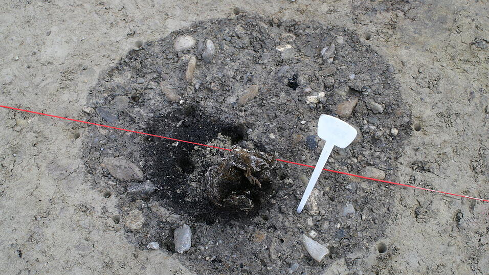 Aufregende Funde machten die Arch&auml;ologen am Kollerparkplatz. (Fotos: r&uuml;d)