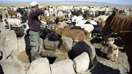 Imke Hansen und Andreas Goldbrunner reisen um die Welt. In der Wüste Gobi. Imke Hansen und Andreas Goldbrunner reisen um die Welt. In der Wüste Gobi.