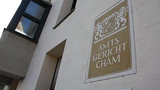 Im Gerichtssaal wollte sich der amtsbekannte junge Mann herausreden. Im Gerichtssaal wollte sich der amtsbekannte junge Mann herausreden.
