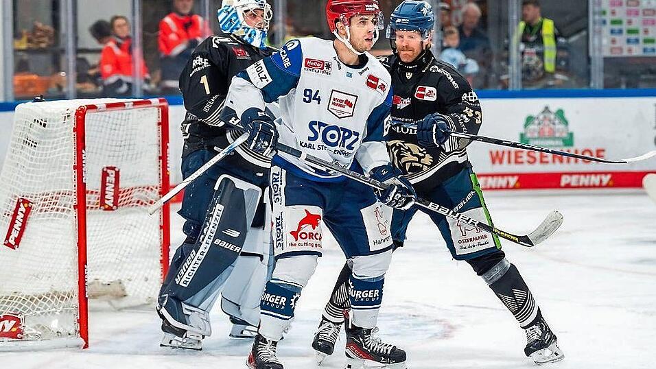 Philip Samuelsson (r.) war einer von zwei Tigers-Spielern, die schon gegen Schwenningen einen Halsschutz trugen. Philip Samuelsson (r.) war einer von zwei Tigers-Spielern, die schon gegen Schwenningen einen Halsschutz trugen.