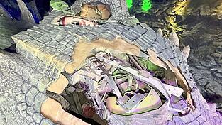 Seltene Einblicke: Die ge&ouml;ffnete Sch&auml;deldecke gibt den Blick frei auf Fannys rechtes Auge.